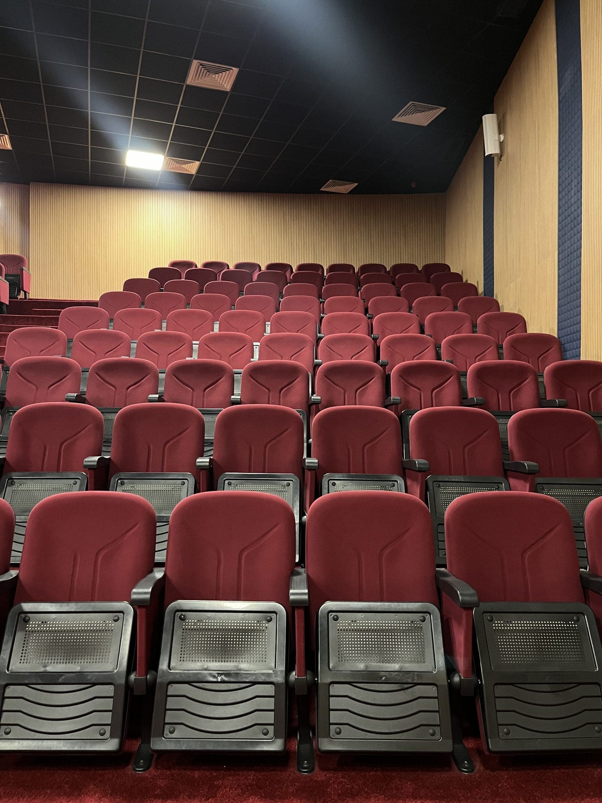 Chaise Théâtre et de Conférence - vue 6